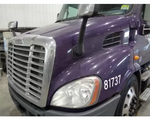 FREIGHTLINER CASCADIA 113 HOOD