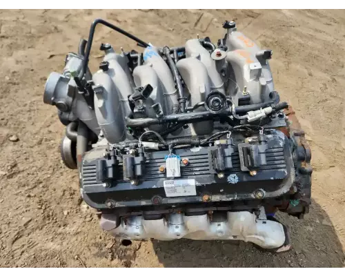 GM/Chev (HD) 8.1L GAS Engine Assembly