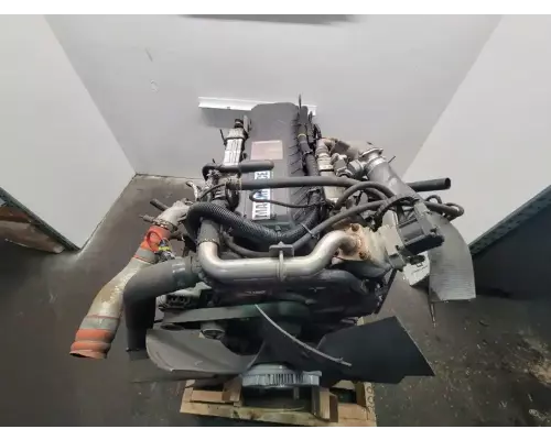 International MAXXFORCE DT466 Engine Assembly