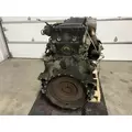 Detroit DD13 Engine Assembly thumbnail 4