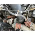 Detroit DD15 Engine Assembly thumbnail 9