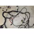FREIGHTLINER Cascadia Chassis Wiring Harness thumbnail 13
