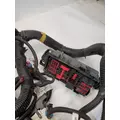 FREIGHTLINER Cascadia Chassis Wiring Harness thumbnail 5