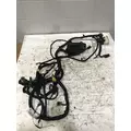 FREIGHTLINER Cascadia Chassis Wiring Harness thumbnail 1