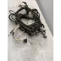FREIGHTLINER FLD120SD Chassis Wiring Harness thumbnail 6
