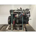 International DT466E Engine Assembly thumbnail 4