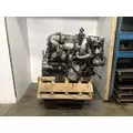 International MAXXFORCE 13 Engine Assembly thumbnail 5