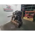 International MAXXFORCE DT466 Engine Assembly thumbnail 3