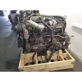 International MAXXFORCE DT466 Engine Assembly thumbnail 8