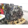 International MAXXFORCE DT466 Engine Assembly thumbnail 8