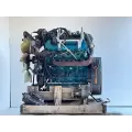 International VT365 Engine Assembly thumbnail 1