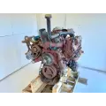 International VT365 Engine Assembly thumbnail 3