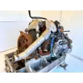 International VT365 Engine Assembly thumbnail 4