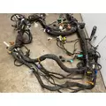 KENWORTH T880 Chassis Wiring Harness thumbnail 4