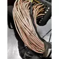VOLVO VN Series Chassis Wiring Harness thumbnail 12