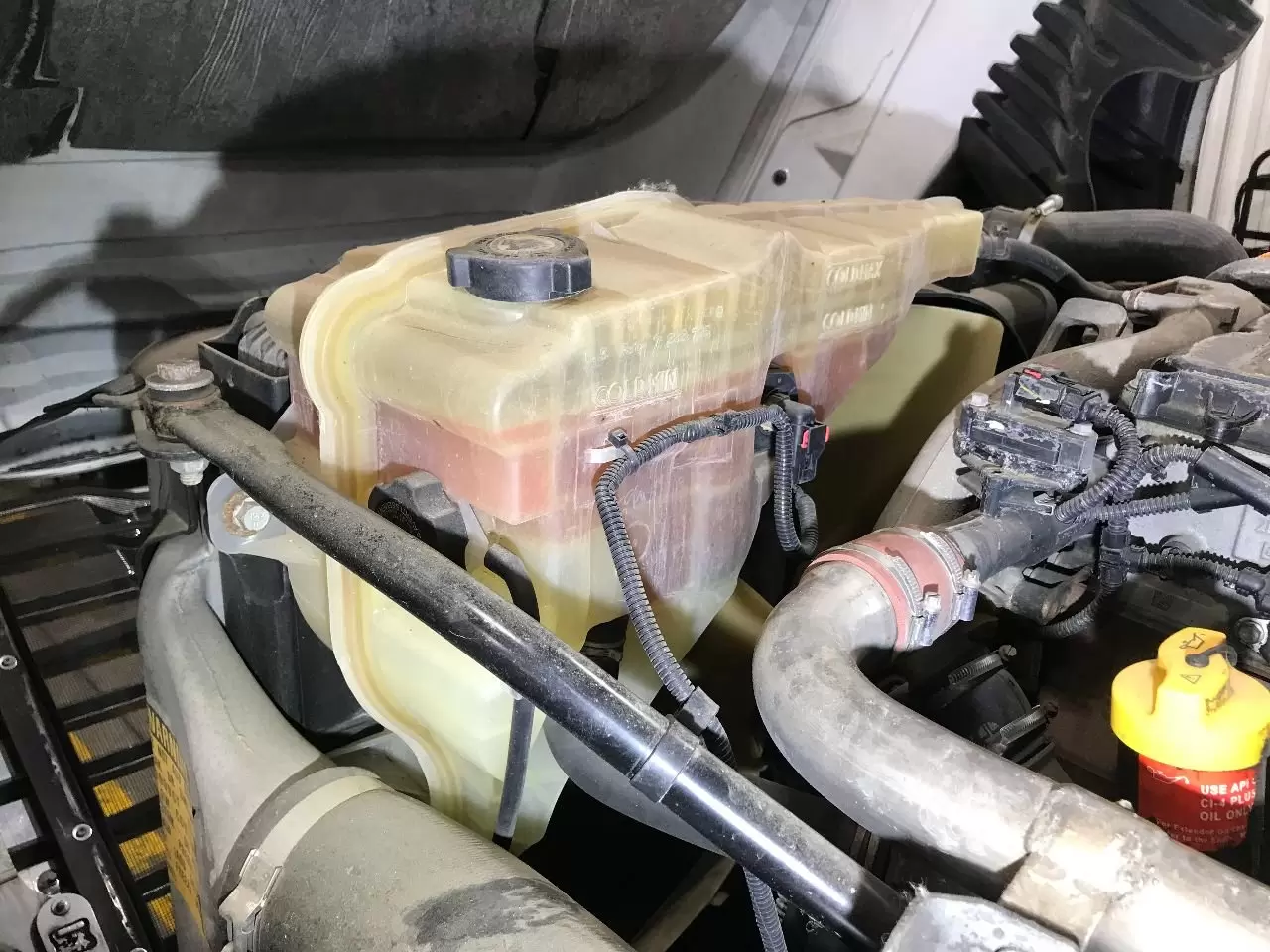 Freightliner CASCADIA Radiator Overflow Bottle / Surge Tank in Sioux Falls