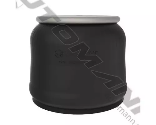 Air Spring AUTOMANN AB1DK23I-9069 LKQ Thompson Motors - Wykoff