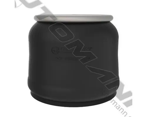 Air Spring AUTOMANN AB1DK23I-9069 LKQ Thompson Motors - Wykoff