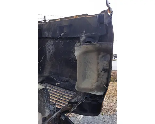 BLUE BIRD VISION 2008-2026 HOOD