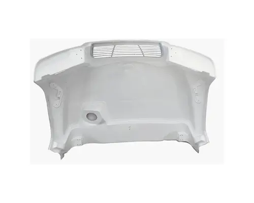 BLUE BIRD VISION 2008-2026 HOOD