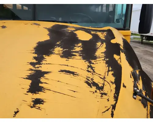 Blue Bird BB Conventional Hood