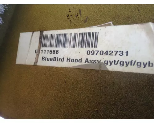 Blue Bird VISION Hood
