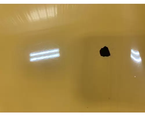 Blue Bird VISION Hood