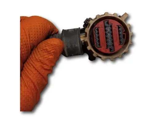 Blue Bird Vision Wire Harness, Transmission