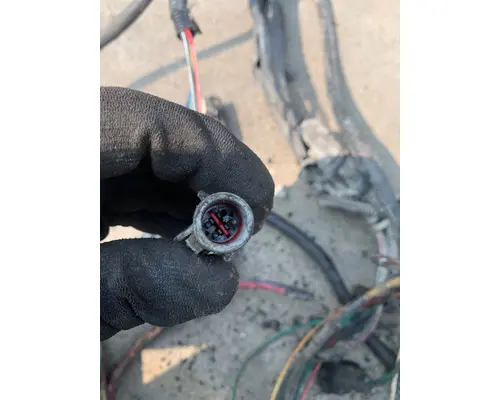 CAT 3176 Engine Assembly