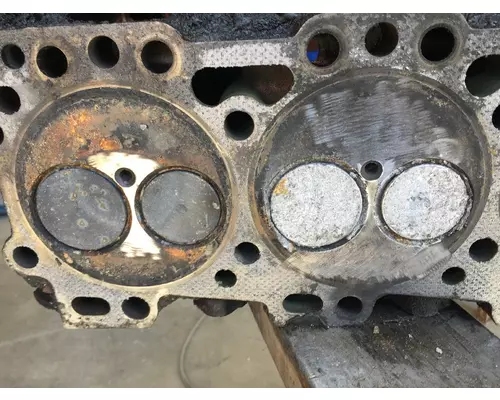 CUMMINS C8.3 Cylinder Head