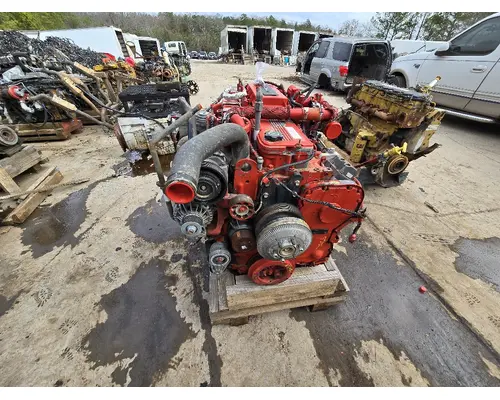 CUMMINS ISC8.3 Flywheel
