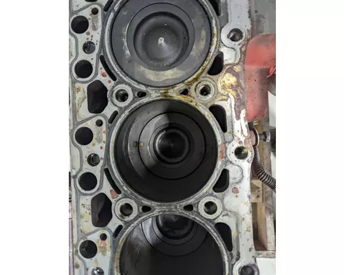 CUMMINS QSB Engine Assembly