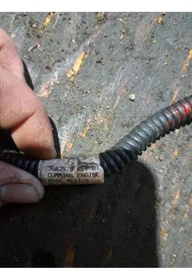 CUMMINS  Engine Assembly