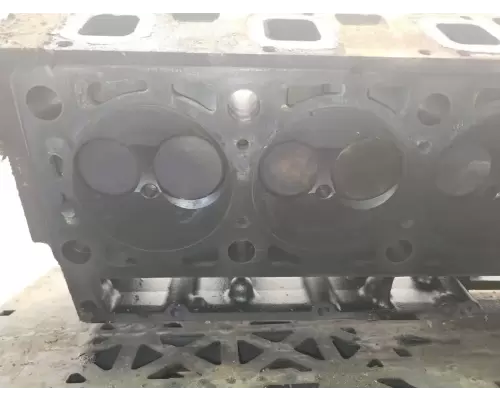 Caterpillar 3116 Cylinder Head