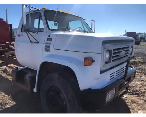 Chevrolet C70 Door Assembly, Front