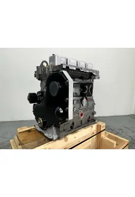 Cummins 4BT3.9 Engine Assembly