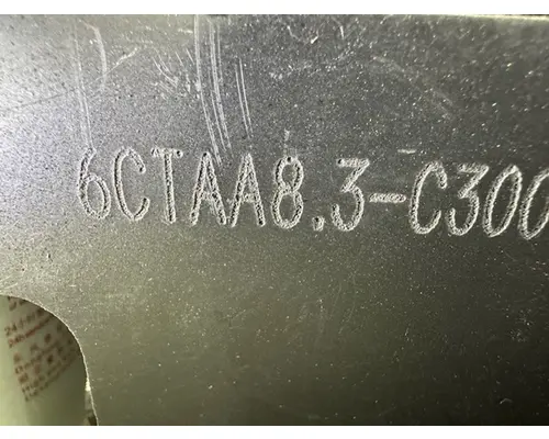 Cummins 6CTAA8.3-C300 Engine Assembly