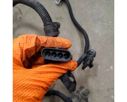 Cummins D40 LF Engine Wiring Harness