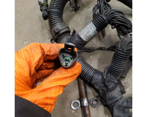 Cummins D40 LF Engine Wiring Harness