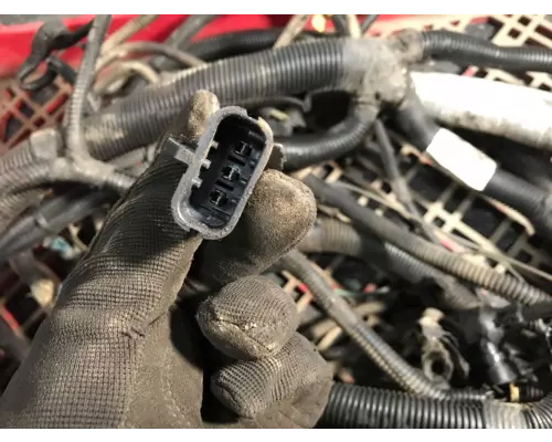 Cummins ISX15 Wire Harness, Transmission