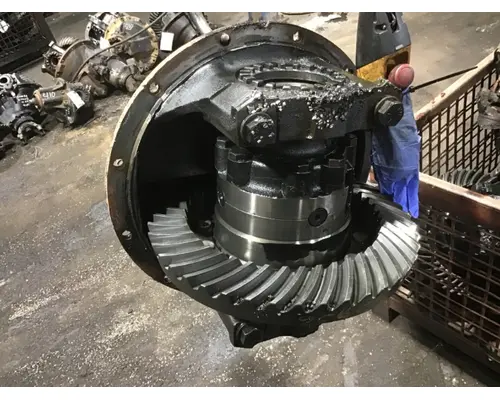 DANA/IHC N-175 Rears (Rear)