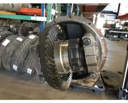 DANA-IHC N175R563 DIFFERENTIAL ASSEMBLY REAR REAR