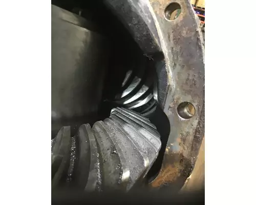 DANA/IHC S110 Rears (Rear)