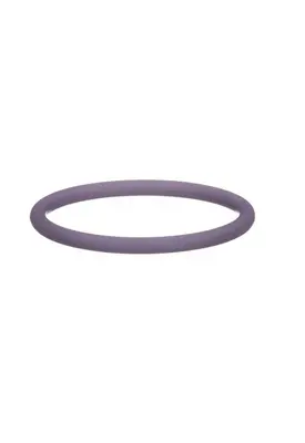 DELPHI Injector Seal Kit Engine Parts, Misc.