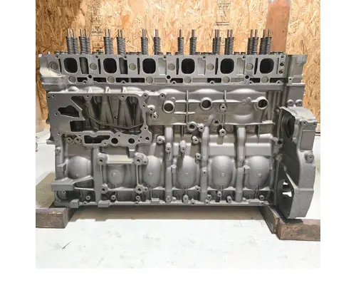 DETROIT DD15 Engine Assembly
