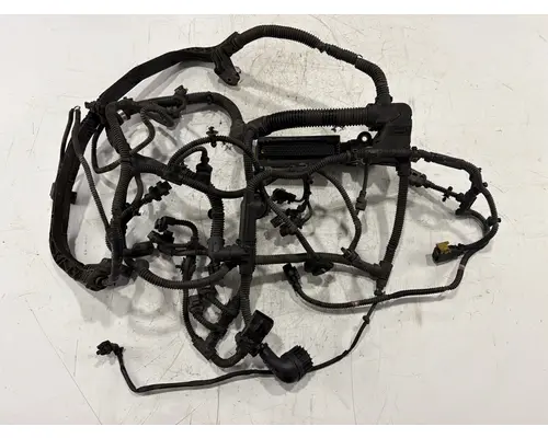 DETROIT DD15 Wiring Harness