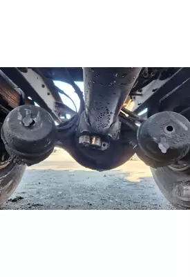 Dana 21060S Rears (Rear)