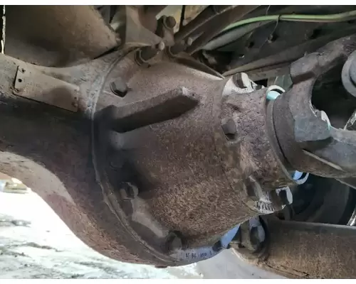 Dana DS404-P Rears (Rear)