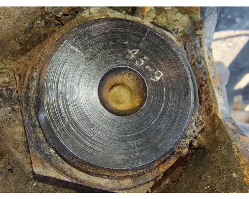 Dana N175 Rears (Rear)