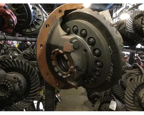 EATON-SPICER 19060LR336 DIFFERENTIAL ASSEMBLY REAR REAR